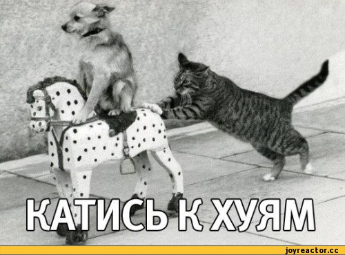 Строю Надёжный и долговечный дом, стены