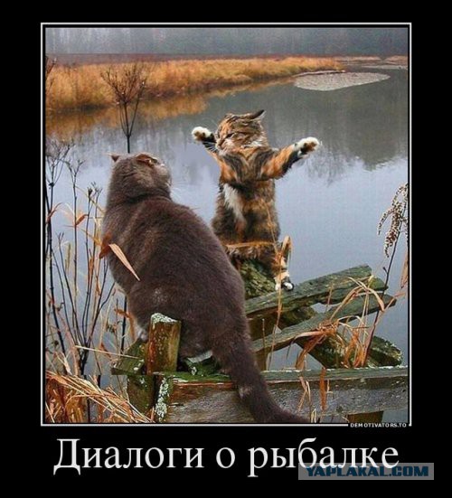 Немного картинок