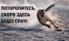 Доигрались со своими дурацкими законами о запрете курения?