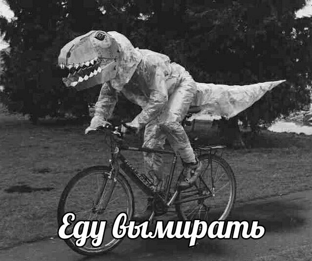 Картинки ИЗ сети