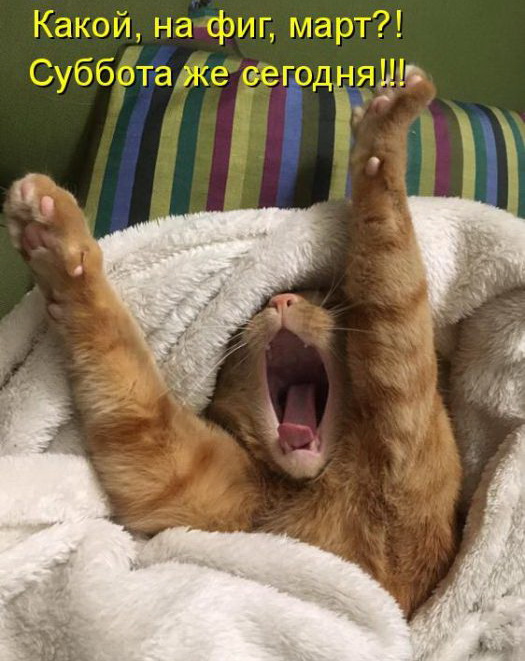 Подборка безудержного веселья