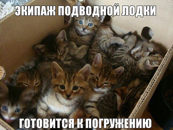 Подборка разного из сети
