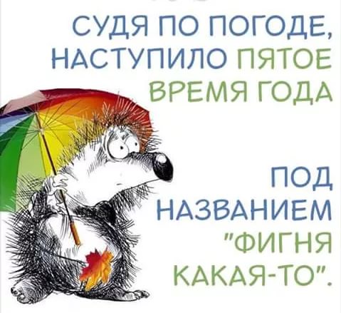 Вот оно какое, наше лето.
