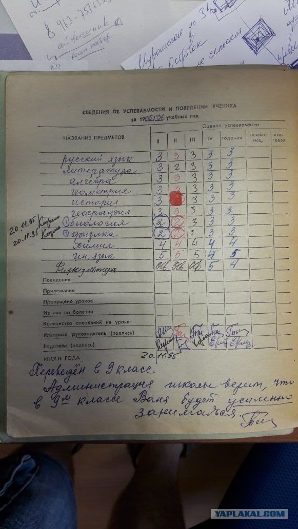 Замечания в дневниках