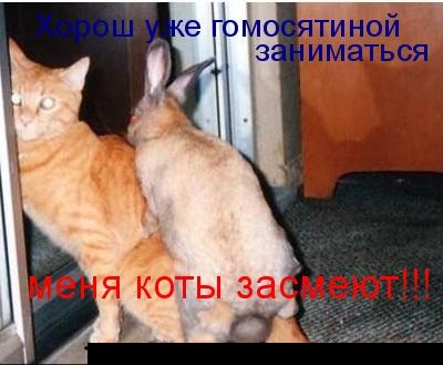 Кастинг на должность жены