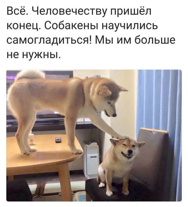 Смешные комментарии из социальных сетей 29.12.2017.