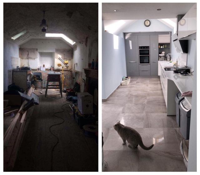 Прикольных котов пост
