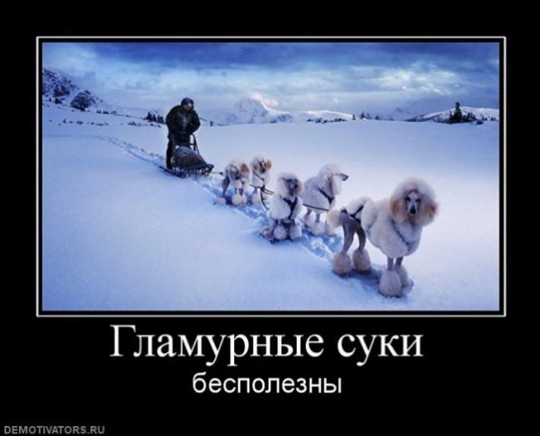 Немного веселых картинок к среде