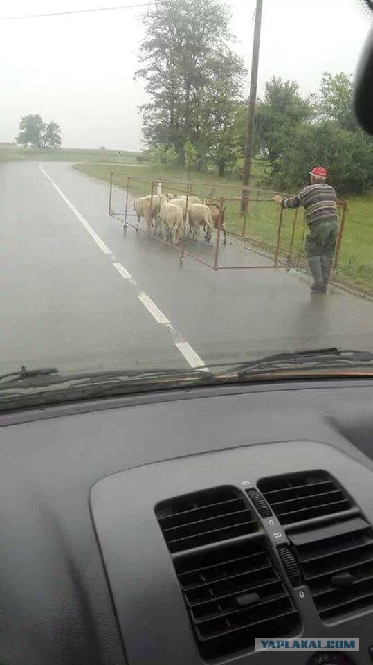 Немного картинок в эту пятницу