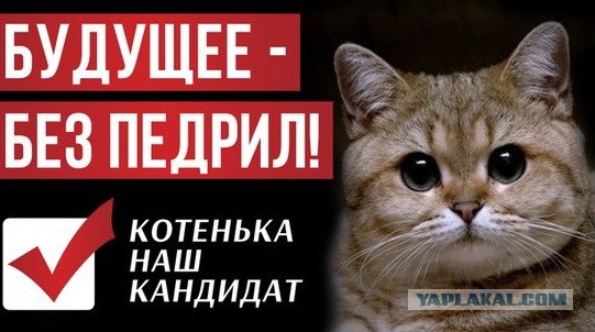 В Самаре предвыборные ролики круче, чем у мэра Москвы