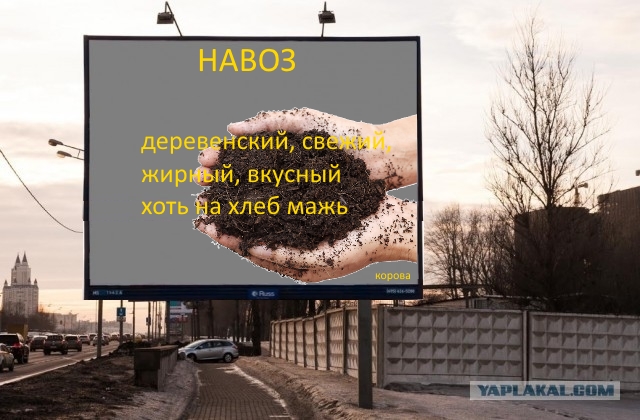 Тут по сети гуляет билборд некой Асии, на котором она обращается к Басте с просьбой послушать ее песни.