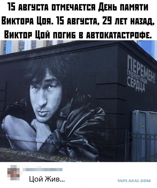 Забавные шутки, картинки и фразы из этих ваших интернетов