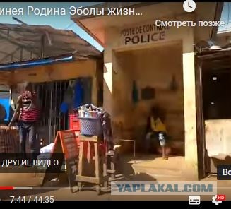 Гвинея Родина Эболы, жизнь после эпидемии: трущобы, бары, рынки, ночная жизнь.