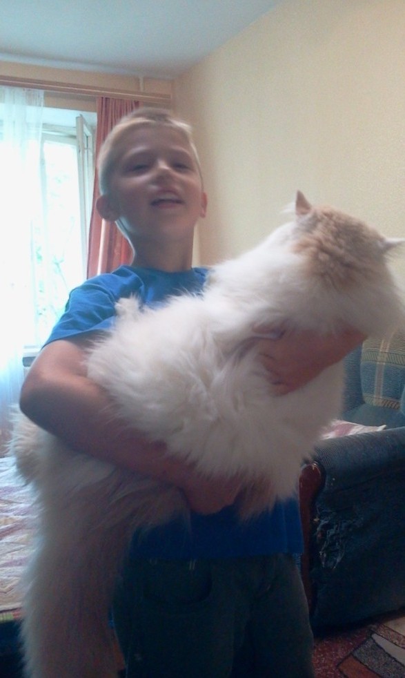 Как меня кота на пару дней попросили приютить