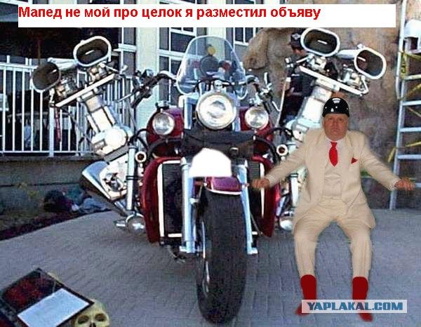 Анкета с сайта знакомств