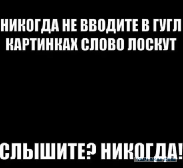 Бредзона 23.08.20