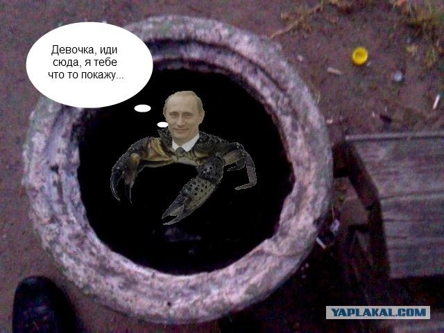 Что она там увидела