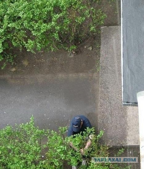 Что нам снег, что нам зной