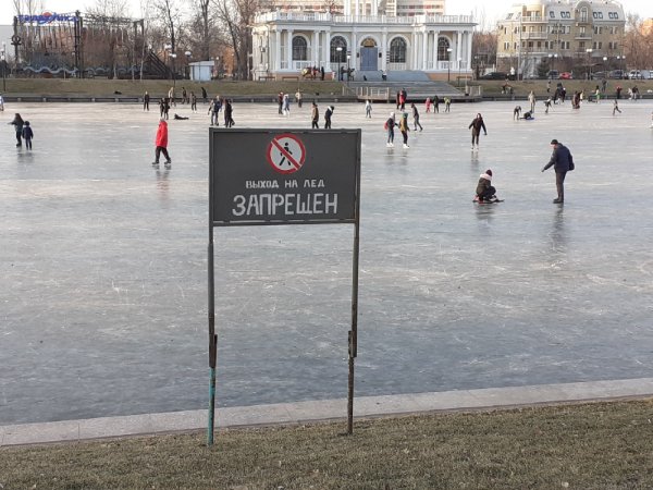 Солянка на начало недели