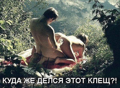 Воскресные кретинизмы из сети 07.02.21
