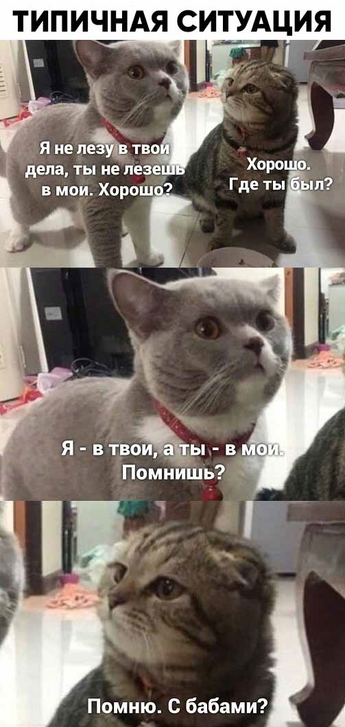 Картинки и мемы для настроения