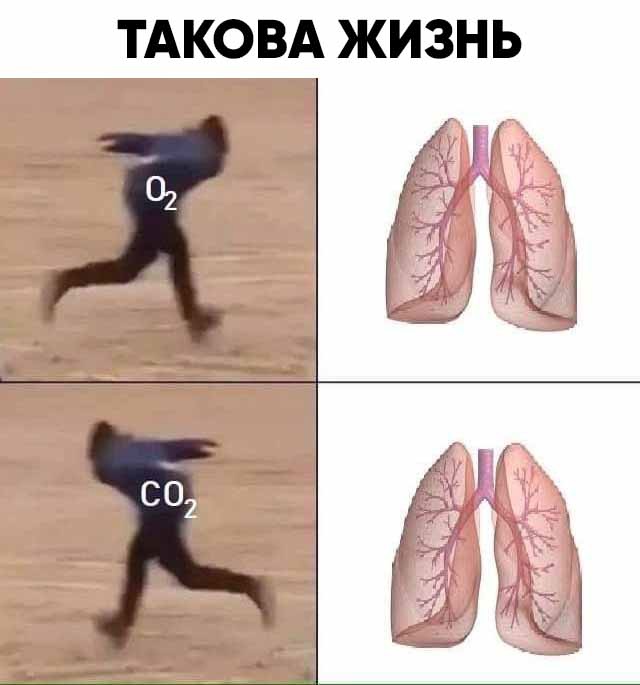 Опять 25, но не 25