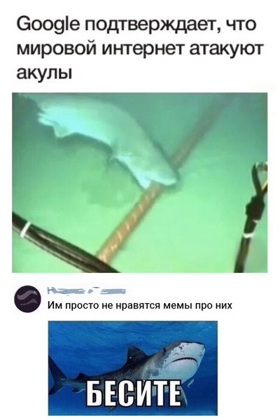 Картинки и мемы для настроения 27.04.2021