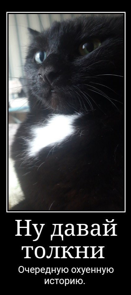 Вторник-кото