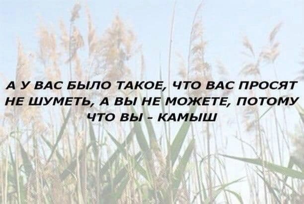Не очень адекватный юмор