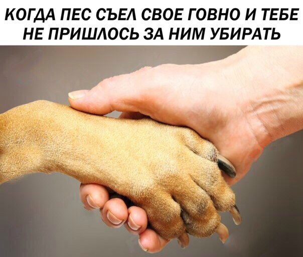 Картинки всякие и аморальные - 10