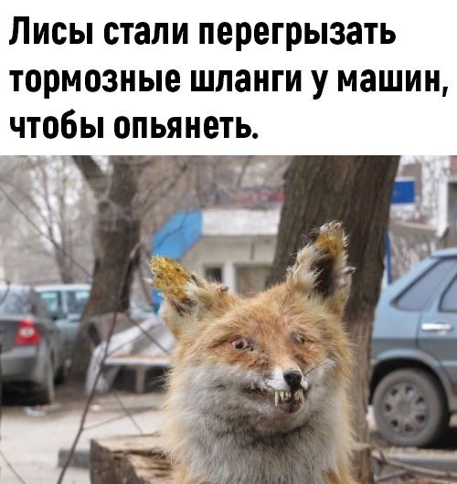 Так себе картинки 15.10.21