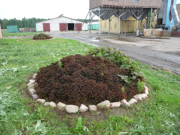 Поездка в Беларусь
