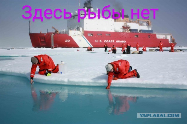 Фотожаба: Ледокол