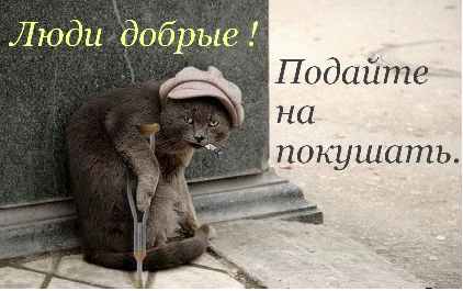 Она грелась в моторном отсеке моей машины.