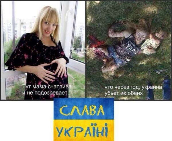 Грустные животные в киевском и харьковском метро спасаются вместе со своими хозяевами