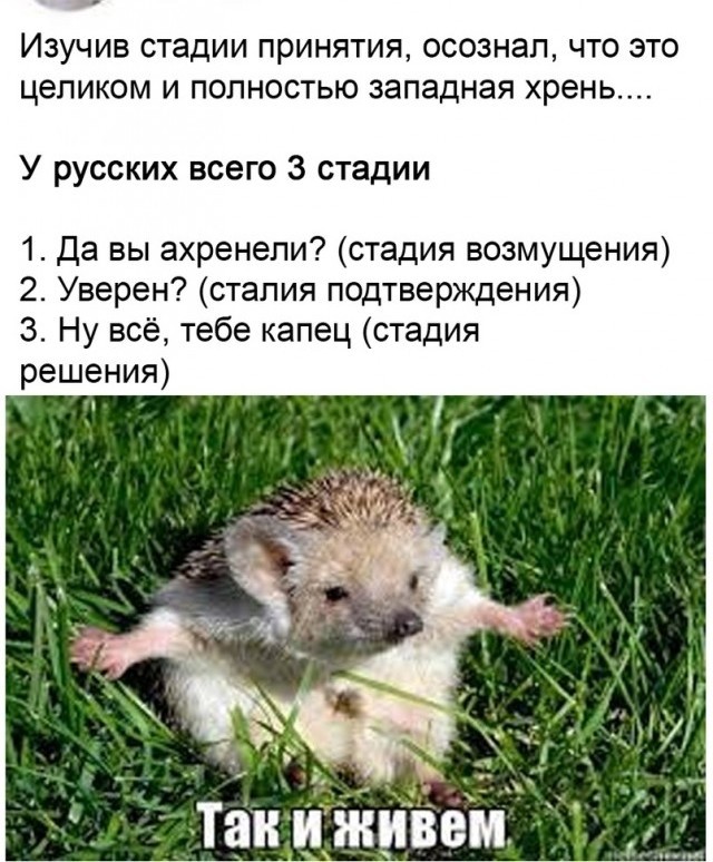 Так себе картинки 24.03.22