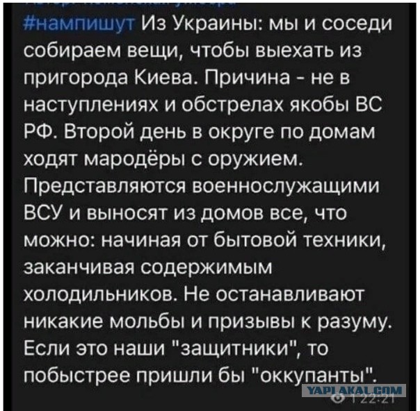"Русские Орки", Дорогие мои, хорошие - не останавливайтесь !
