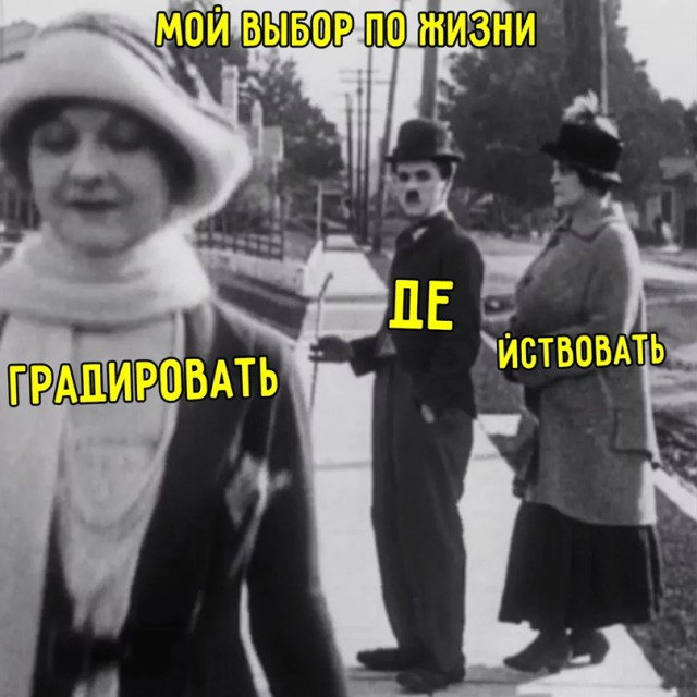 Весёлый полтишок 08.07.22