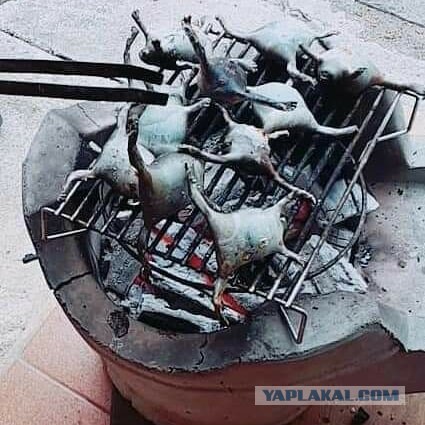 Настоящий гурман