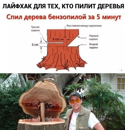 Скриншоты и комментарии из социальных сетей 17.08.22