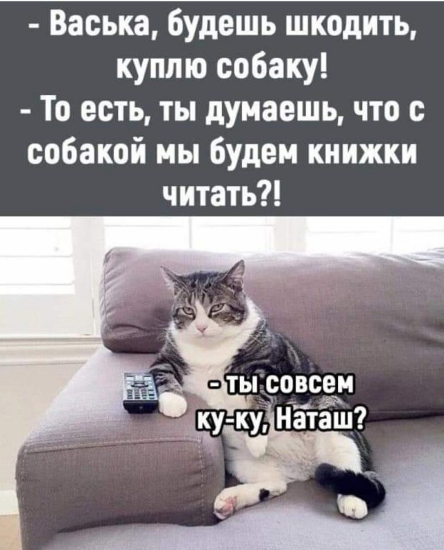 Немного картинок."Колбасный ветер". Август