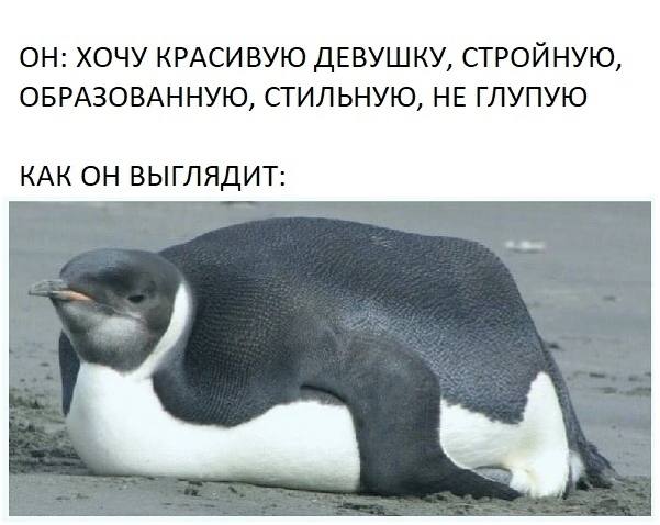 Немного мемчиков. Для взрослых 18+. Часть 12
