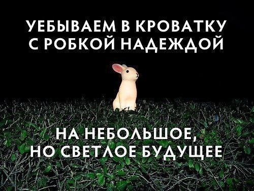 Мемчики. Опишите одним мемом, как дела, что на душе?