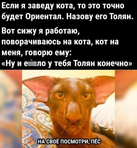 Кто хотел ориентала?