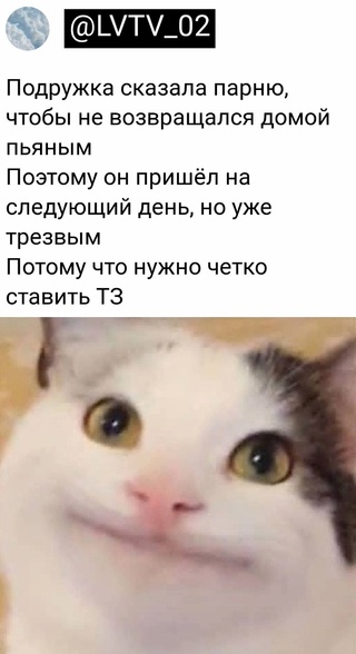 Немного картинок для настроения - 131