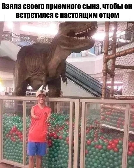 Немного аморального юмора