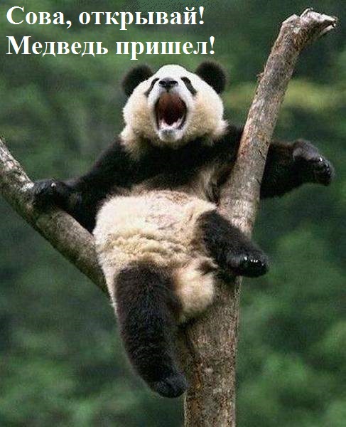 Картинки с надписями 27 02 23