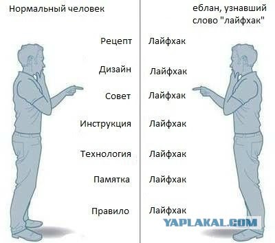 "Какая интересная кормушечка"