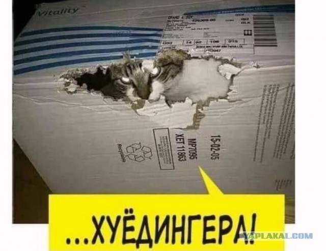 Нуштош 10.04.2023