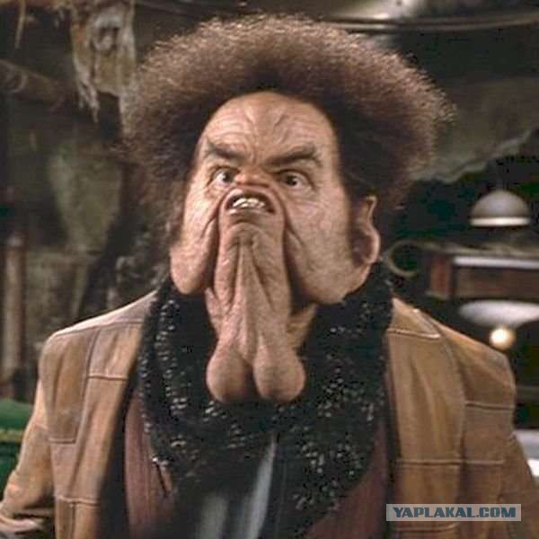 Умница пёсик)))